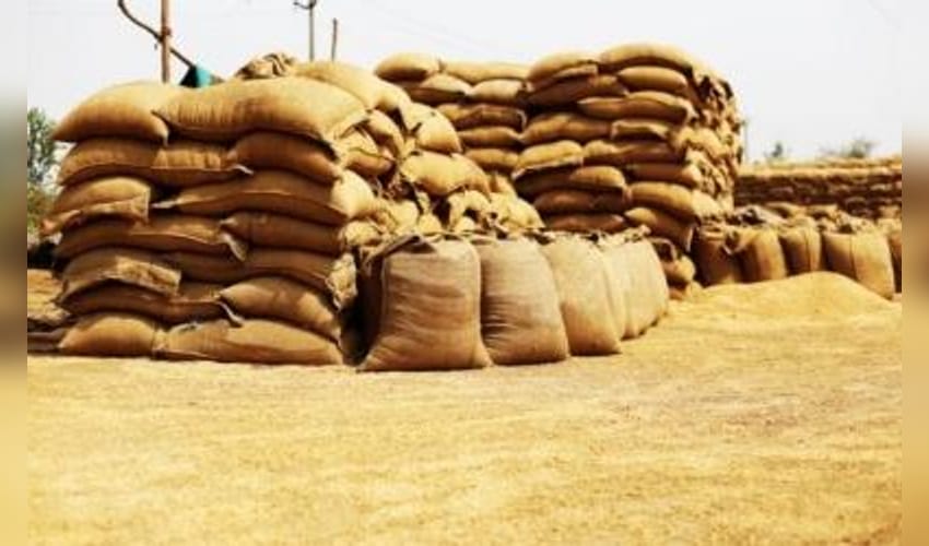 17-tonne ration rice haul seized near Kerala border, TN Revenue official assaulted
