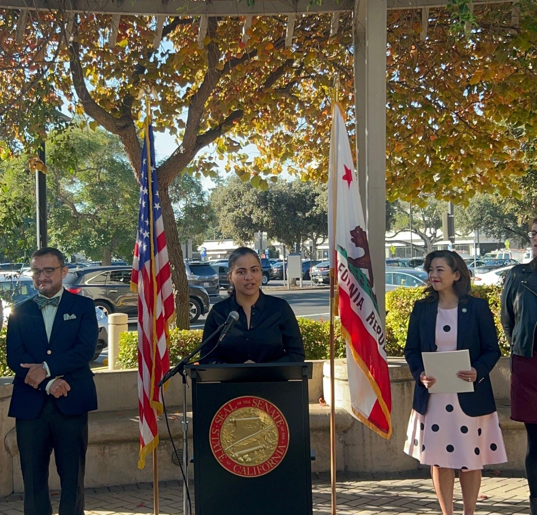 Aisha Wahab first Afghan-American elected to US Congress