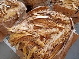 Andhra plans to limit FCV tobacco production in view of ongoing crisis