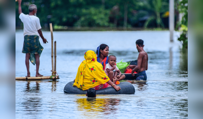 Assam museum launches drive to rescue flood‑damaged manuscripts, artworks (Photo: IANS)