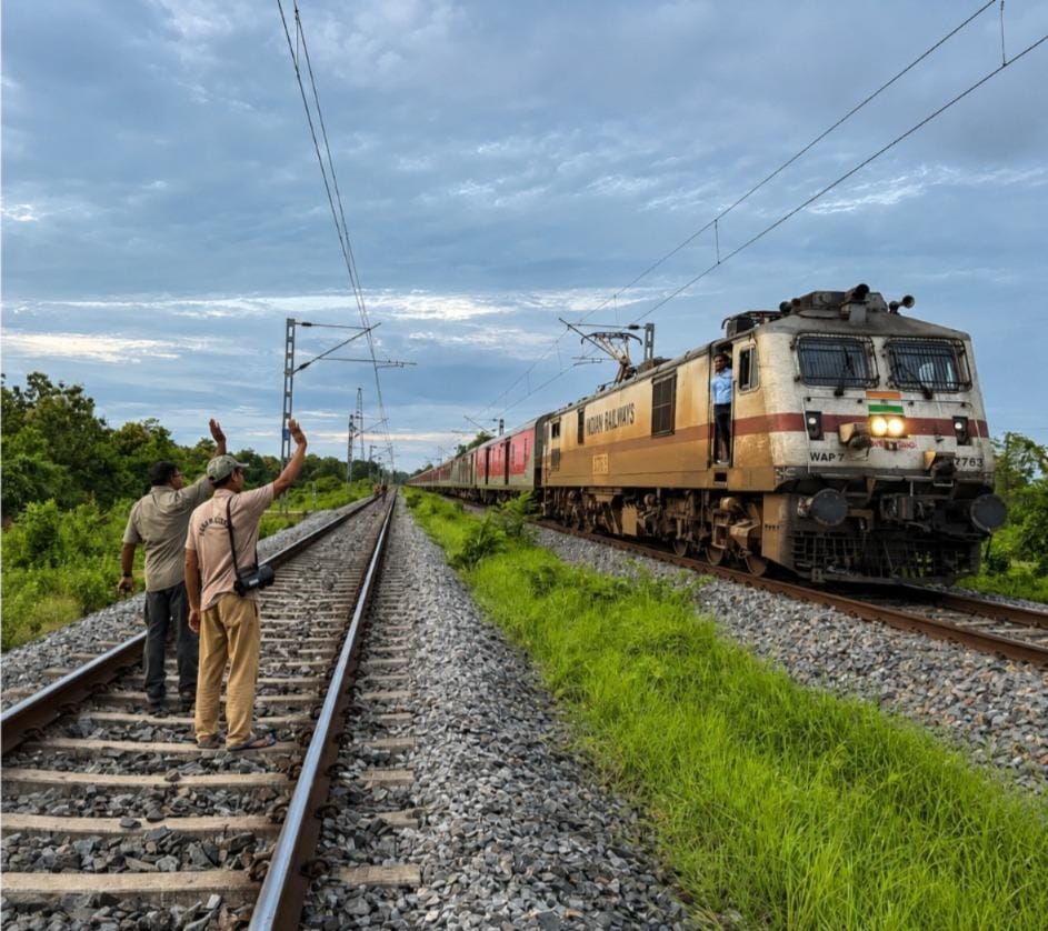 Assam: NFR, Forest Dept coordinate to protect elephants on railway tracks (Photo: IANS)