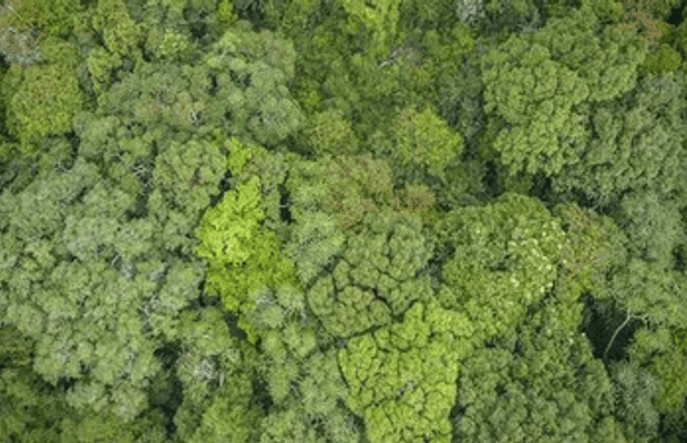 Biodiversity Authority gives Rs 2.82 crore to States under benefit-sharing mechanism