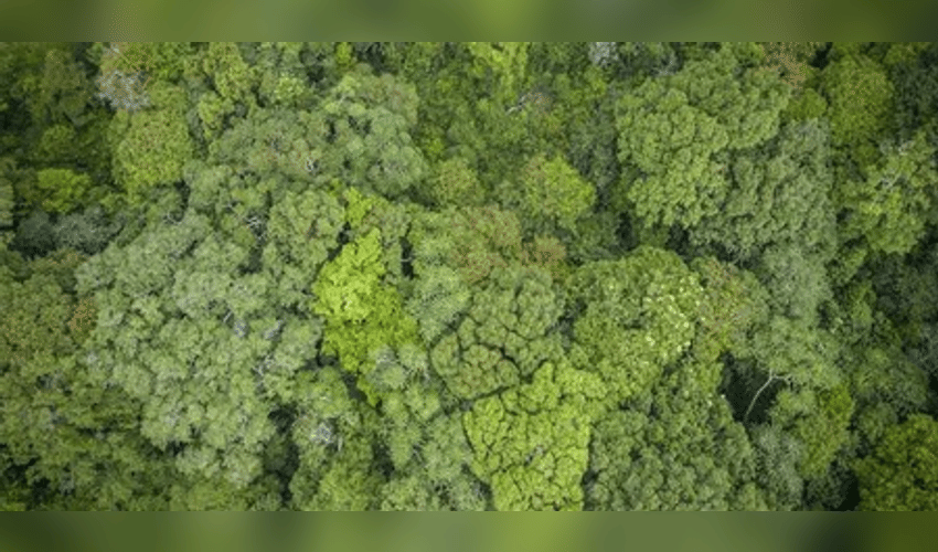 Biodiversity Authority gives Rs 2.82 crore to States under benefit-sharing mechanism
