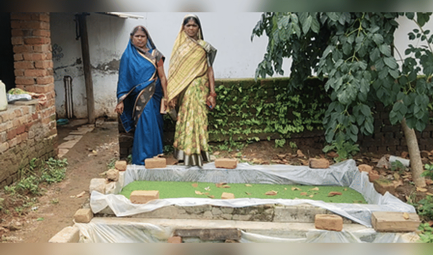 Chhattisgarh: Women from SHGs find employment in Azolla production, thank govt
