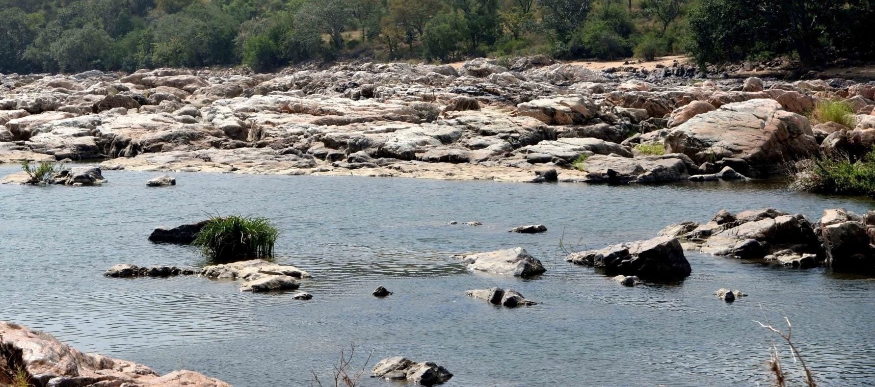 Cong take on Cauvery row: BJP instigating people, won't succeed