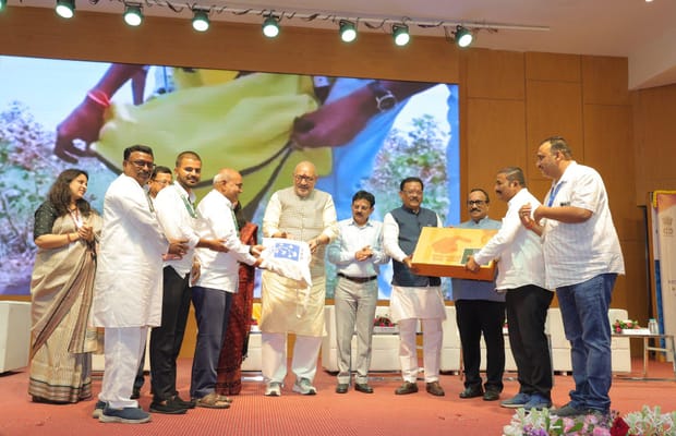 Cotton is the cornerstone of India's rural economy, agricultural prosperity