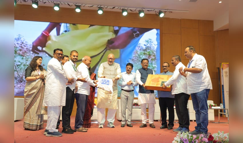 Cotton is the cornerstone of India's rural economy, agricultural prosperity