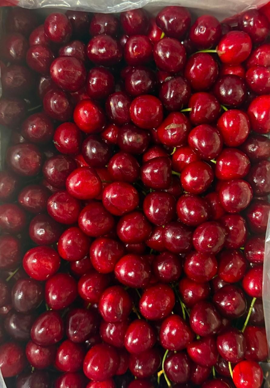 Export of Kashmir's premium cherries, plums to Singapore to boost farmers' income: Piyush Goyal