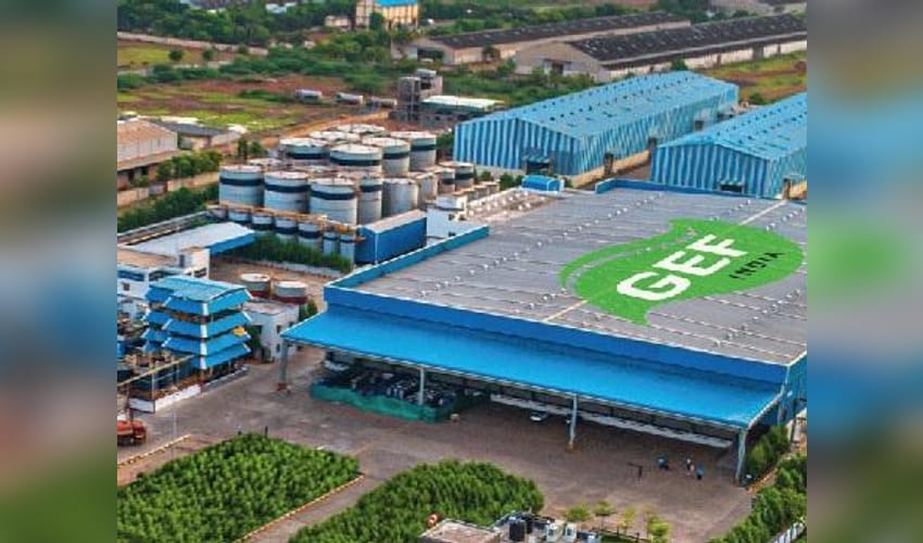 Gemini Edibles IPO: Freedom Oils maker flags raw material, regional concentration, other risks in DRHP