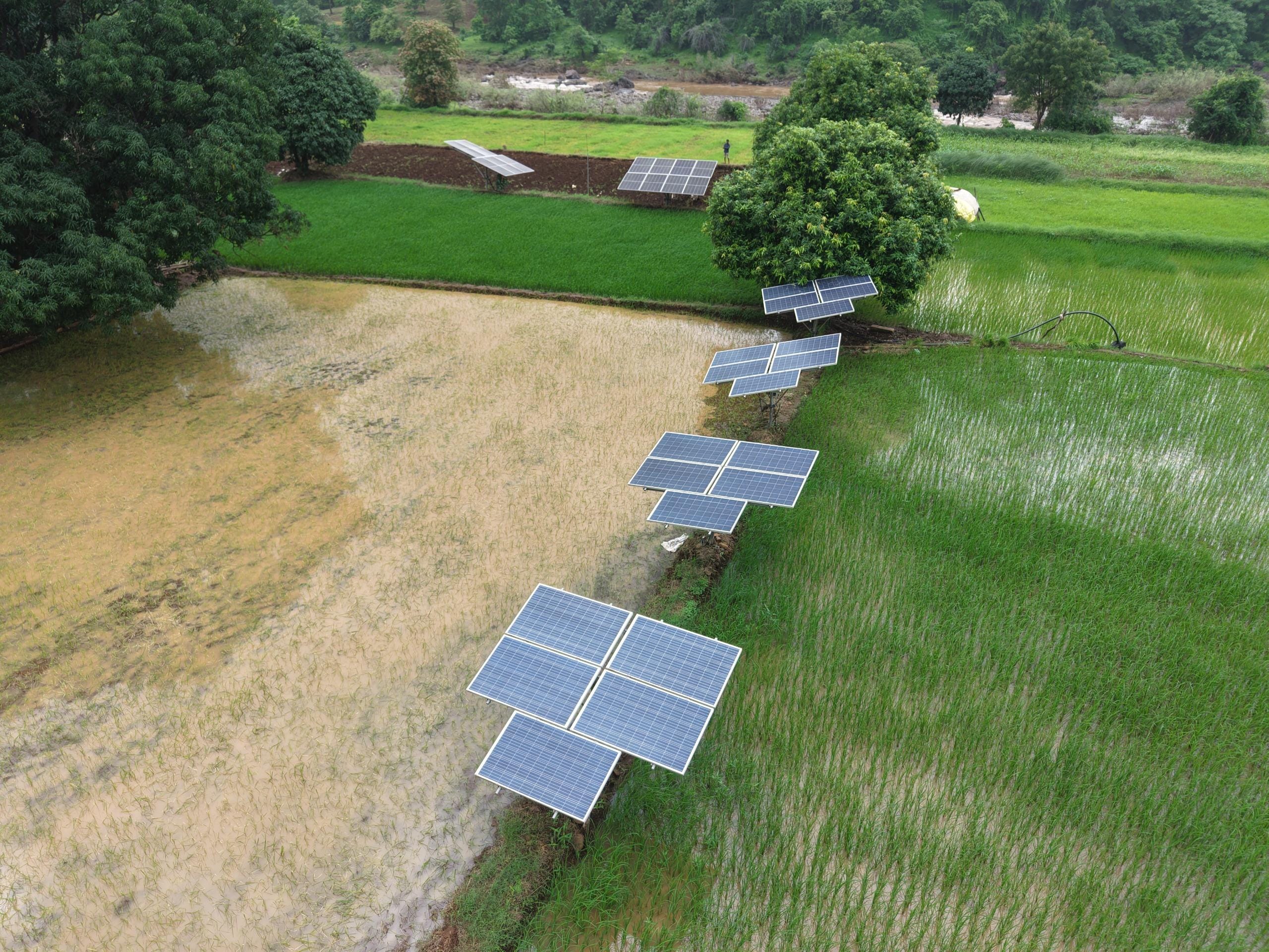Gujarat: 15,000 solar pumps installed in Narmada, highest under PM-KUSUM (Photo: IANS)