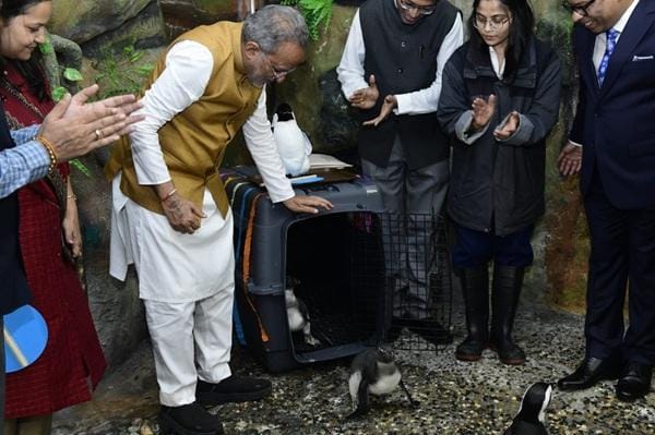 Gujarat: Ahmedabad Science City welcomes two new penguin chicks as 'Space Festival' begins (Photo: IANS)