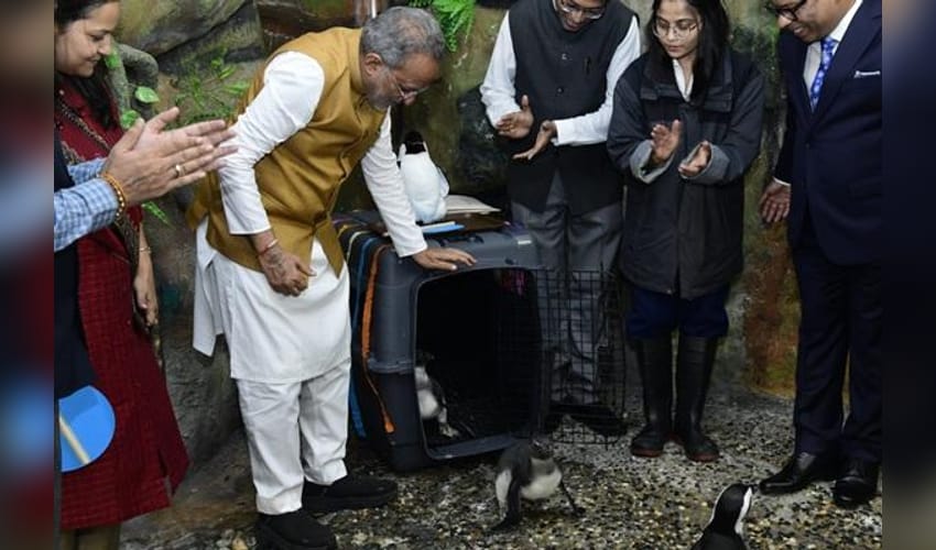 Gujarat: Ahmedabad Science City welcomes two new penguin chicks as 'Space Festival' begins (Photo: IANS)