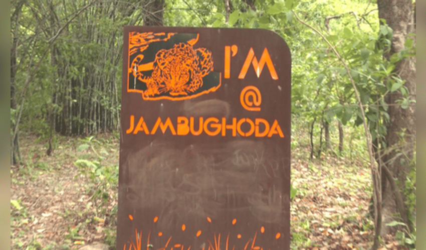 Gujarat: Dhanpuri eco-tourism centre in Panchmahal emerges as tourist hotspot