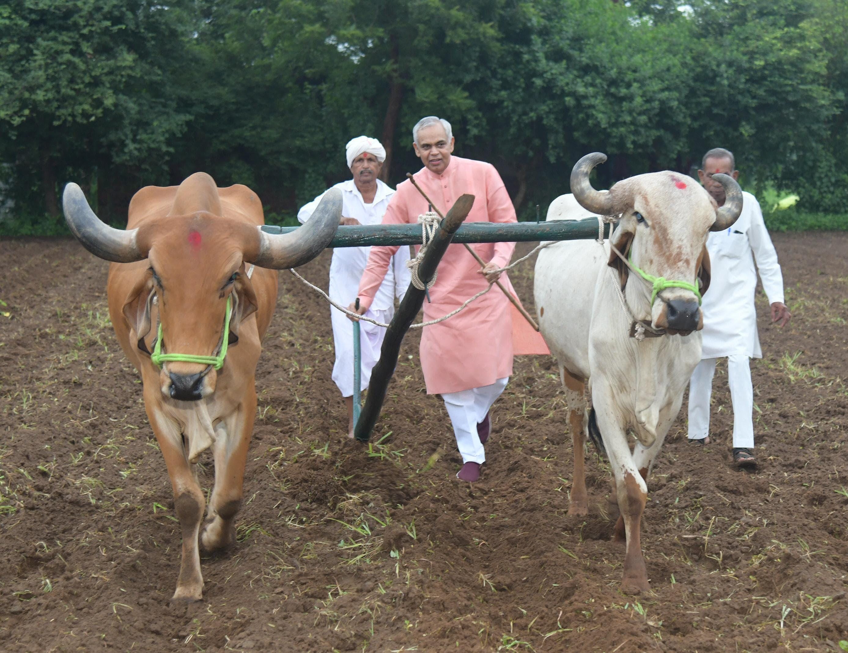 Gujarat Governor urges shift to natural farming; cites soil fertility, lower costs
