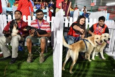 Gujarat: Nearly 20,000 pet dogs registered in Ahmedabad; Labradors emerge as 'most popular' breed