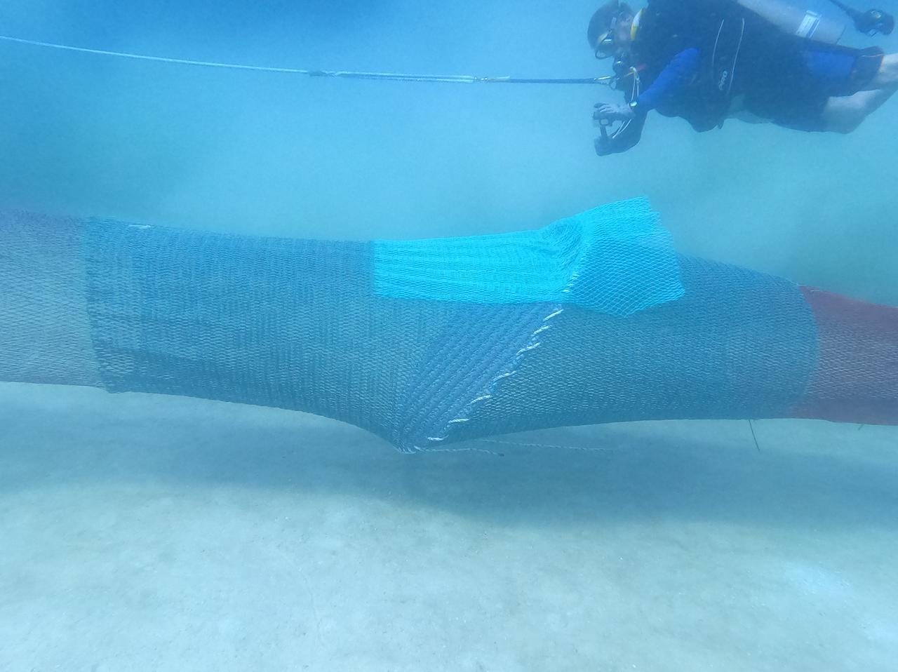 Gujarat to install over 8,900 TEDs in fishing nets to protect sea turtles, support shrimp exports