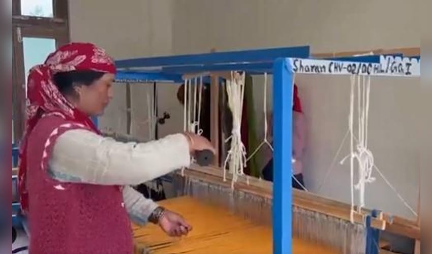 ‘Handloom has become our source of income’: Himachal’s Sharan village weavers celebrate revival of traditional craft