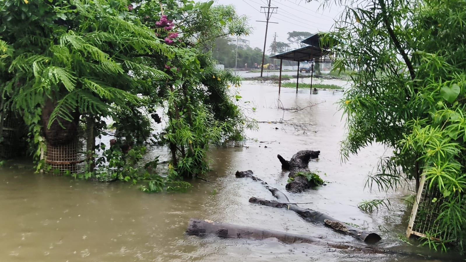 Heavy rain wreaks havoc across MP; five bodies recovered after car swept away, 3 missing