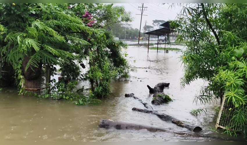 Heavy rain wreaks havoc across MP; five bodies recovered after car swept away, 3 missing