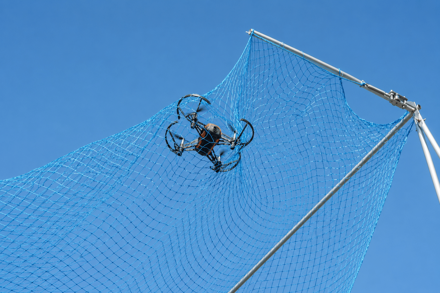 image9a7e3899_8738_4685_84ab_952295ebf8a8
