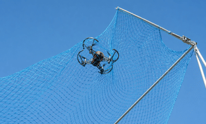 image9a7e3899_8738_4685_84ab_952295ebf8a8