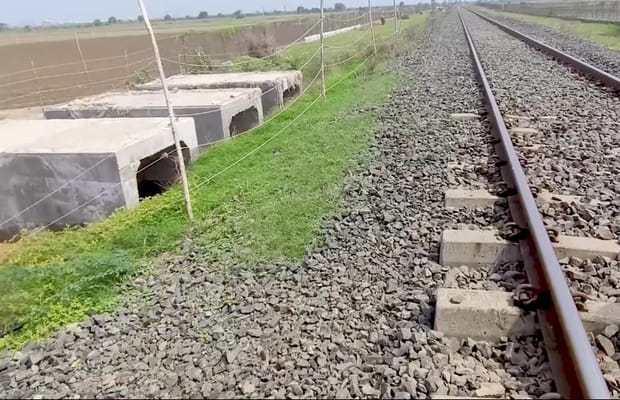 India's first railway lion underpass completed in Gujarat