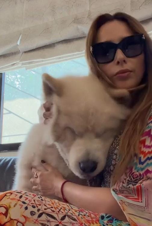 Iulia Vantur shares video playing with Salman Khan’s pet Sukh, calls it 'the cutest love’