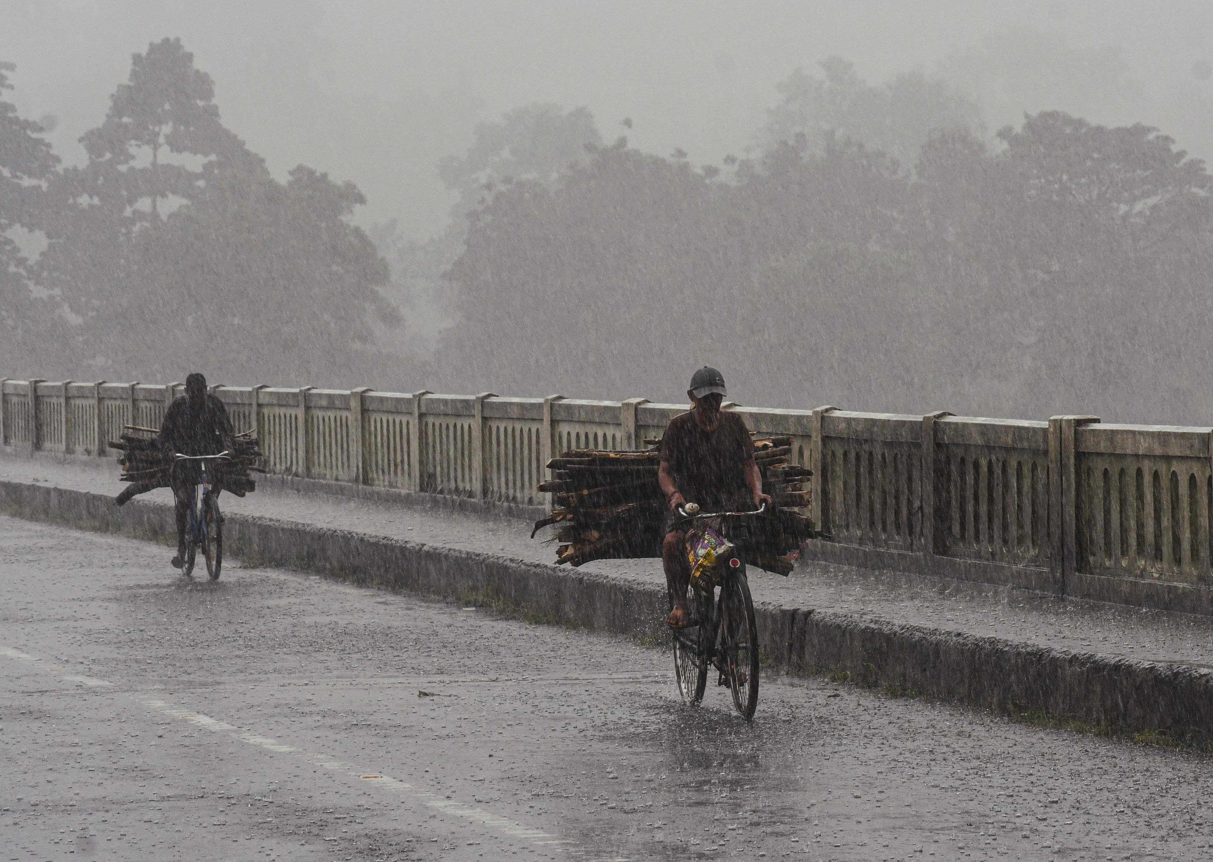 Jalpaiguri: Residents Ride Bicycles Home with Firewood Amid Rain