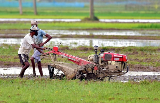 Kamrup: Farmers Begin Kharif Cultivation
