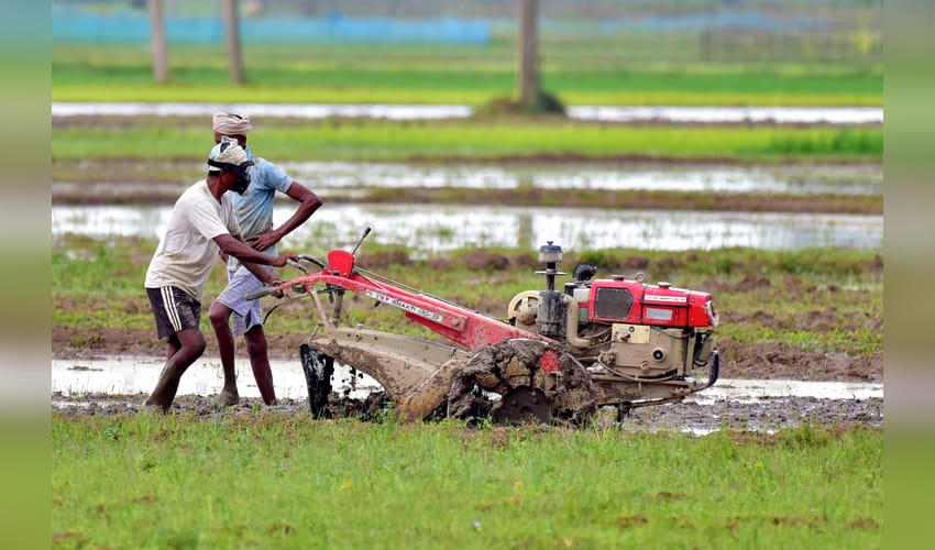 Kamrup: Farmers Begin Kharif Cultivation