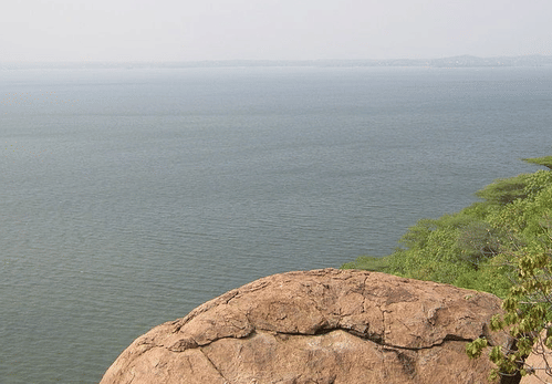 K’taka BJP leaders of Cauvery basin to meet over water release with TN