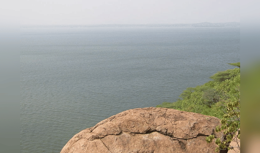 K’taka BJP leaders of Cauvery basin to meet over water release with TN