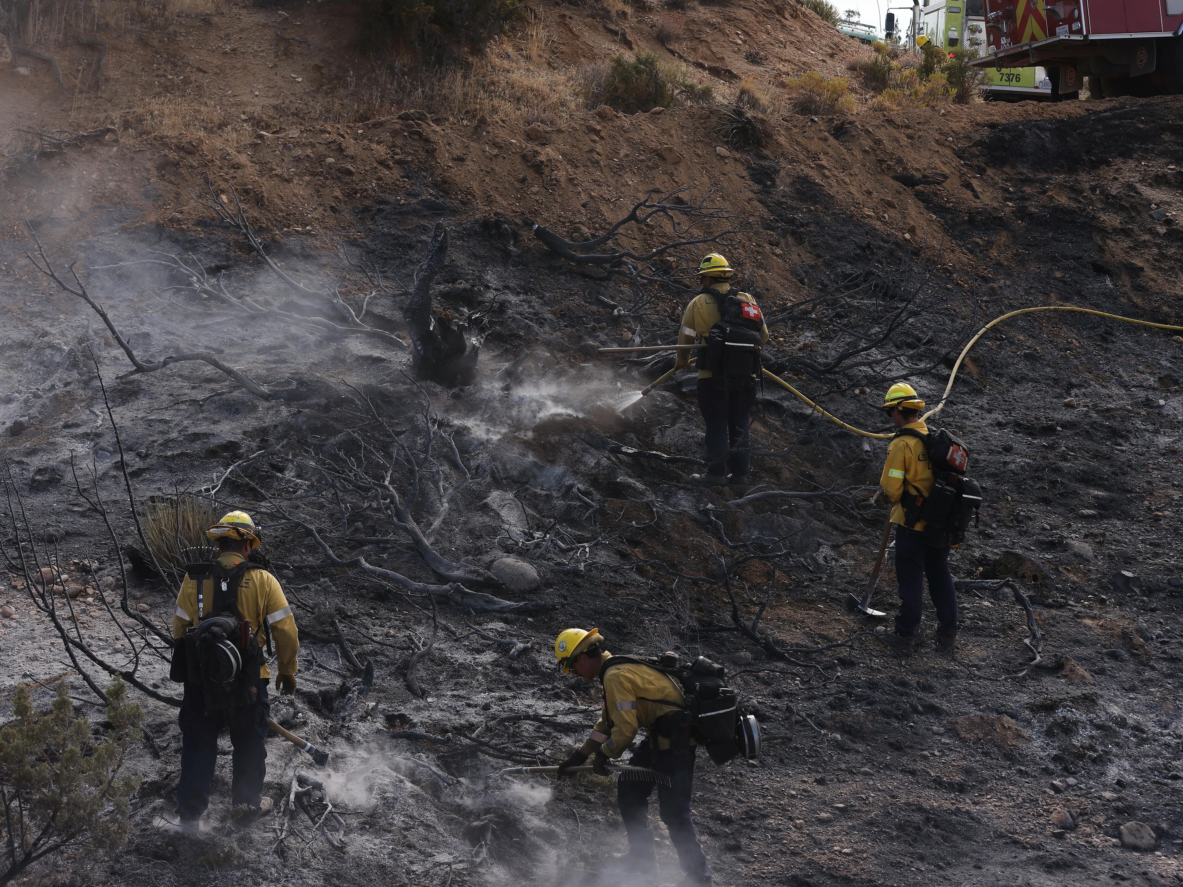 Los Angeles: County Wildfire