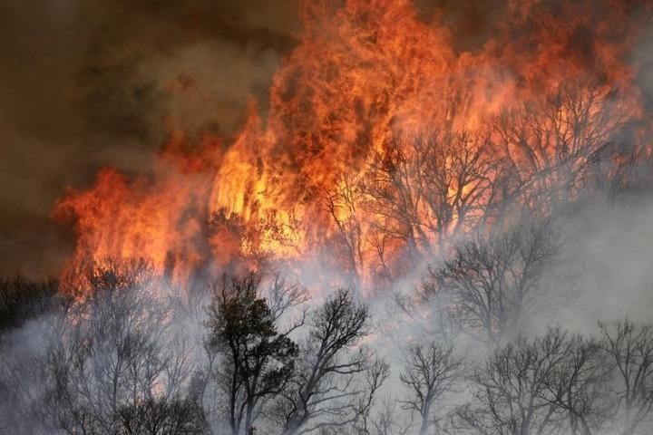 Los Angeles,wildfire,Southern California,California