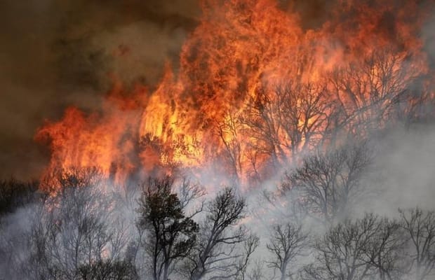 Los Angeles,wildfire,Southern California,California