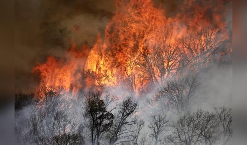 Los Angeles,wildfire,Southern California,California