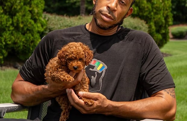 Ludacris gets dog-sitting duty after daughters ask for a new pet