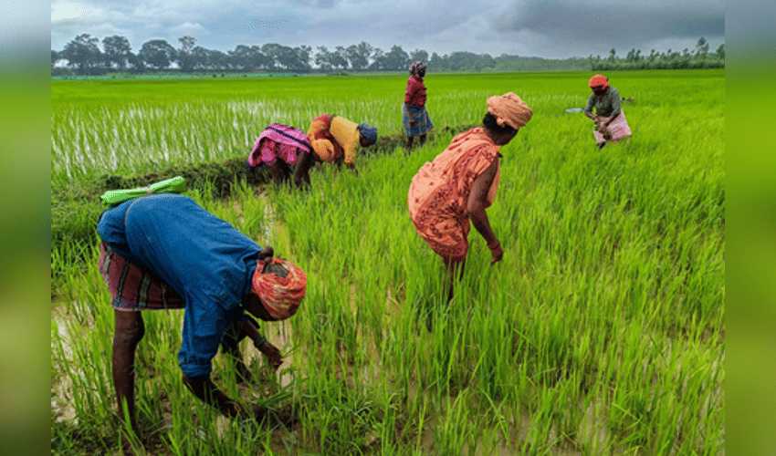 Maha: 1.40 lakh farmers ineligible for loan waiver, relief for 16.96 lakh in two days (Photo: IANS)