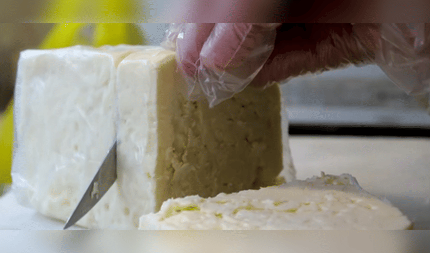 Maha FDA bans analog cheese, artificial paneer for one year after legislative push