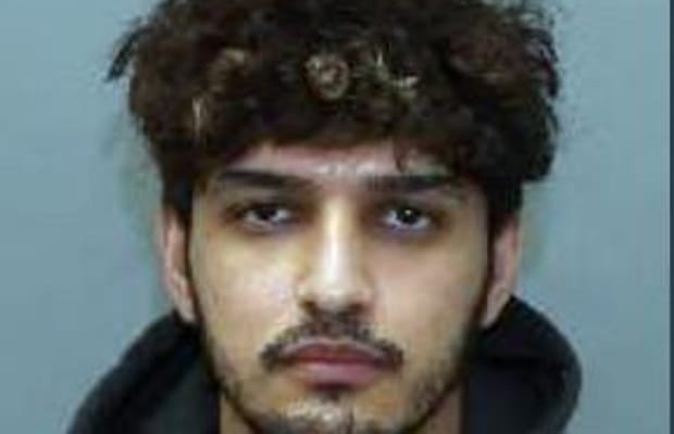 Man arrested months after killing Indian-origin Himanshi Khurana in Canada's Toronto