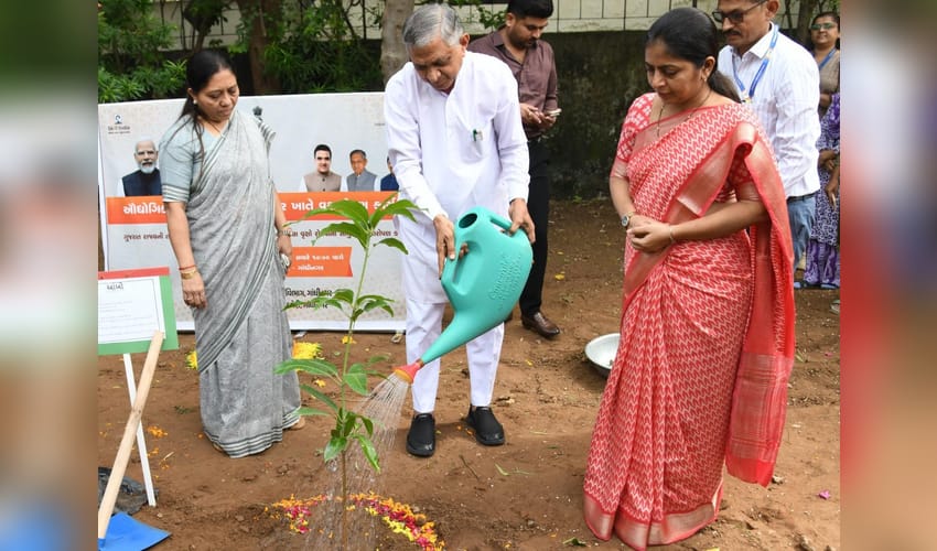 More than 10,000 trees planted at govt ITIs across Gujarat