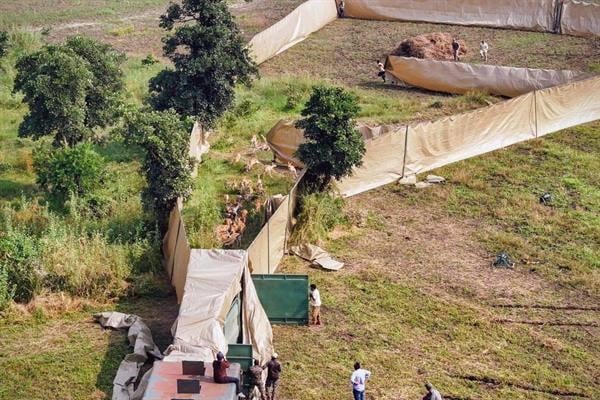 MP: Forest Dept relocates animals responsible for damaging crops