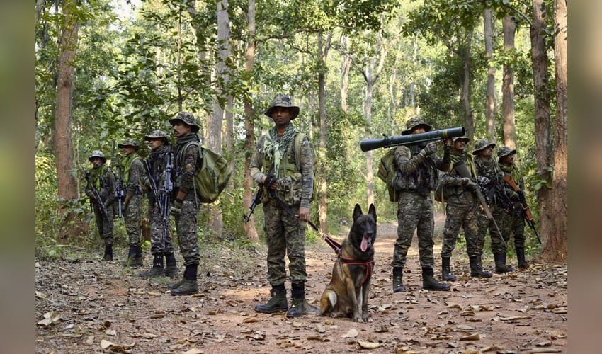 ‘Nation salutes its brave personnel’: VP Radhakrishnan, HM Amit Shah extend wishes on CRPF Raising Day