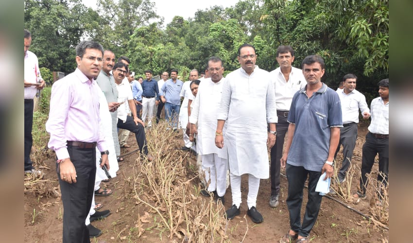 Navsari flood damage survey to be completed without delay: Gujarat Minister (Photo: IANS)