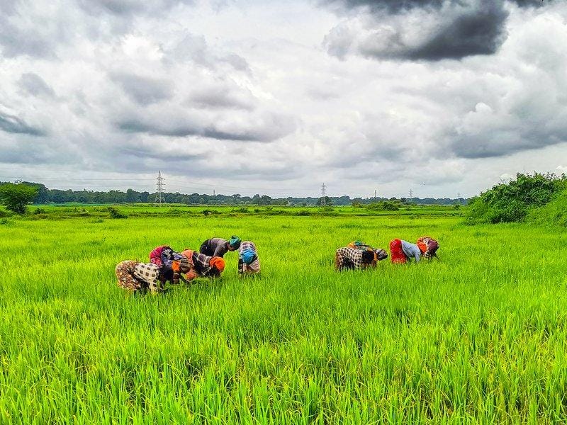 Over 18 lakh farmers switch to natural farming as India transits to regenerative agriculture