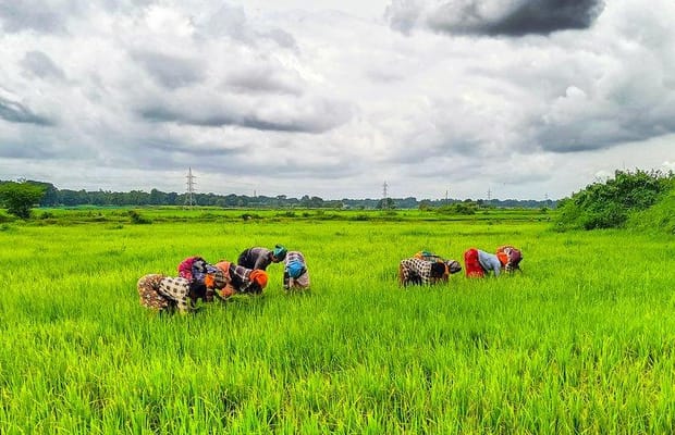Over 18 lakh farmers switch to natural farming as India transits to regenerative agriculture