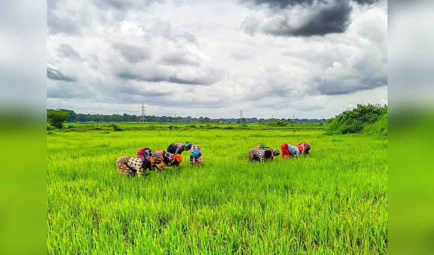 Over 18 lakh farmers switch to natural farming as India transits to regenerative agriculture