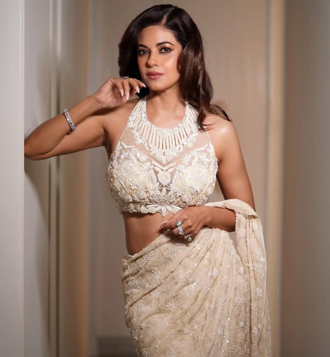Priyanka Chopra's cousin Meera Chopra slams CJP protester for using abusive language against PM Modi