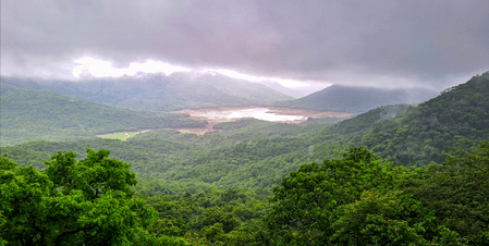 Rain likely in TN's Western Ghat districts; thunderstorms, lightning in Chennai