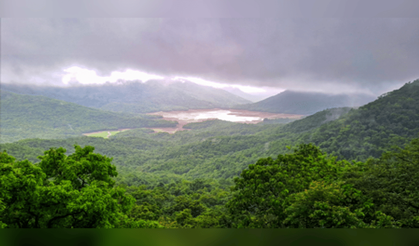 Rain likely in TN's Western Ghat districts; thunderstorms, lightning in Chennai